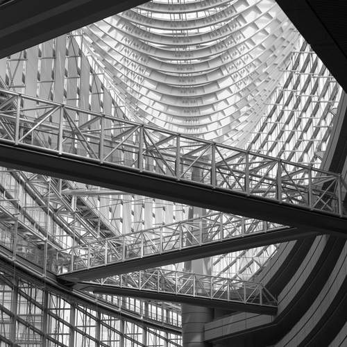 Фотография #12912795