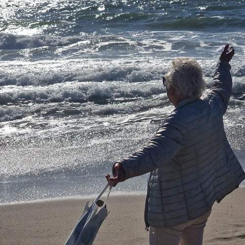 Photo #12912975