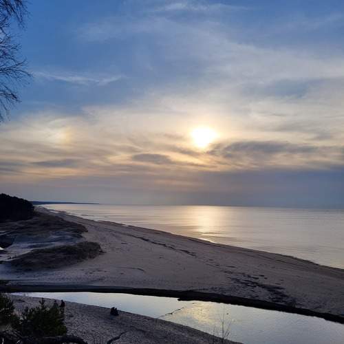 Photo #12913538
