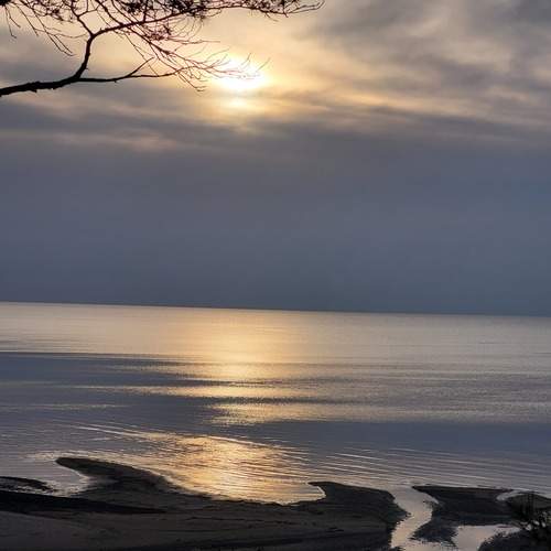 Photo #12913539