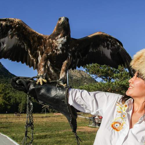 Photo #12913648