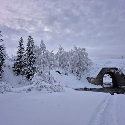 Photo #12913712