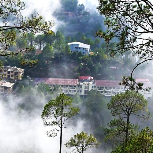 Misty Mountain Settlement