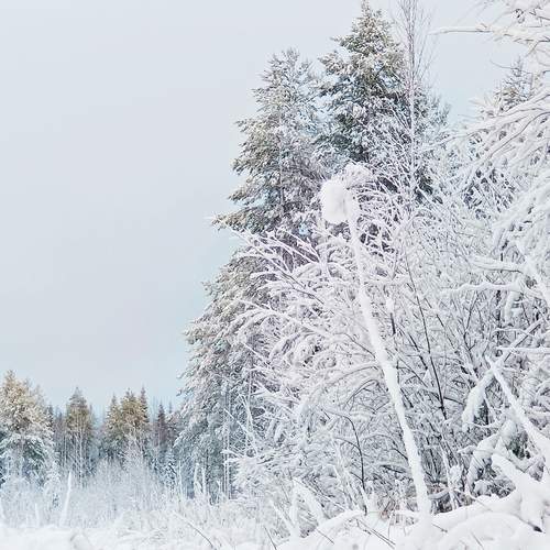 Photo #12914121