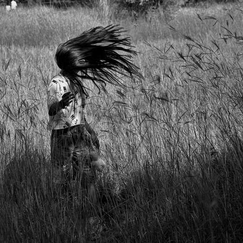 Photo #12914216