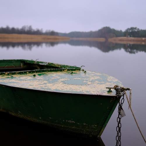 Photo #12914274