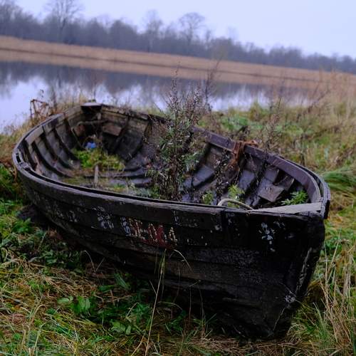 Photo #12914275