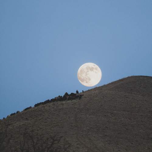 Photo #12914306