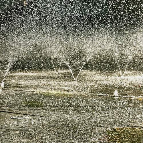 Photo #12914412