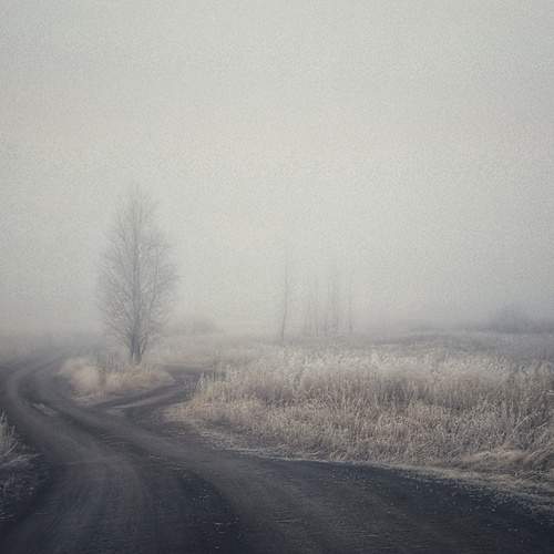 Photo #12914431