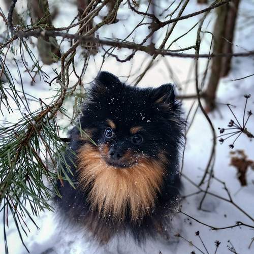 Photo #12914473
