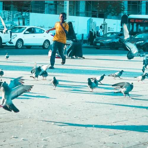 Photo #12914495