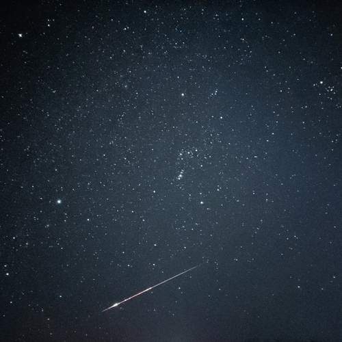 Wish
