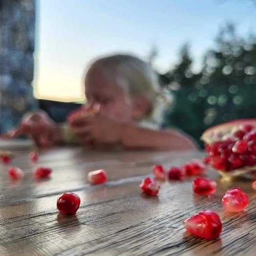 Photo #12914835