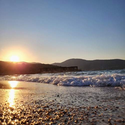 Photo #12914865
