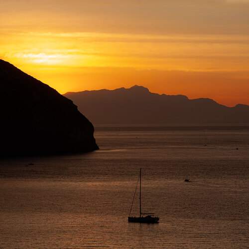 Photo #12915068