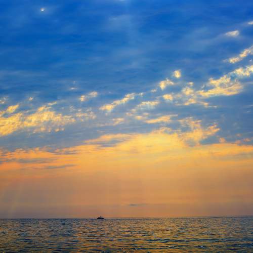 Photo #12915076