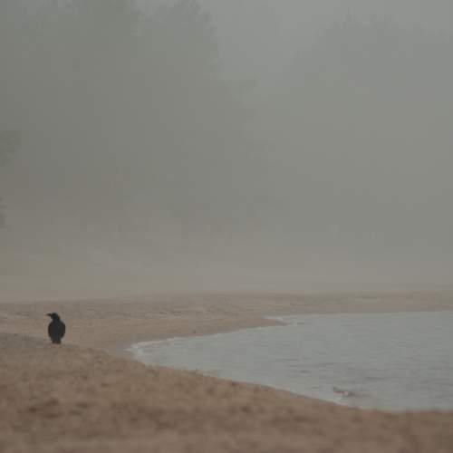 Photo #12915083