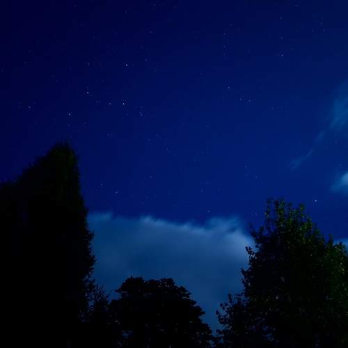 Photo #12915116