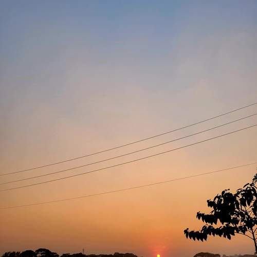 Photo #12915422