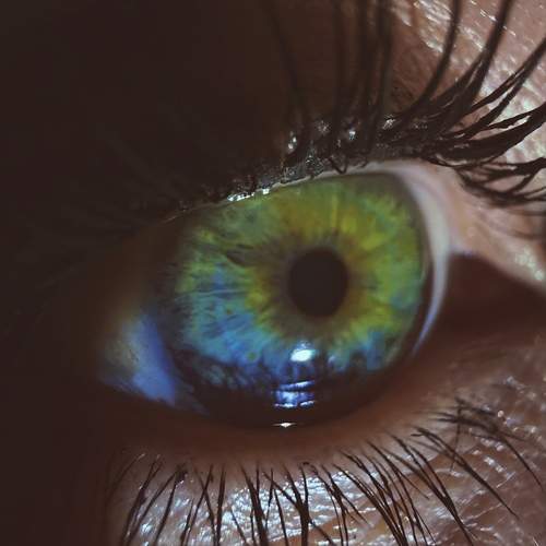 Photo #12915537