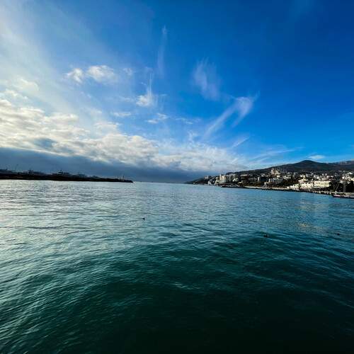 Photo #12915645
