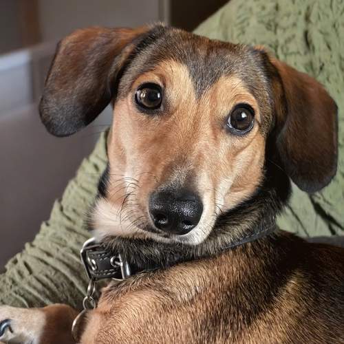 Photo #12915857