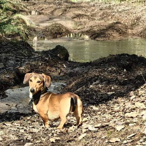 Photo #12915858
