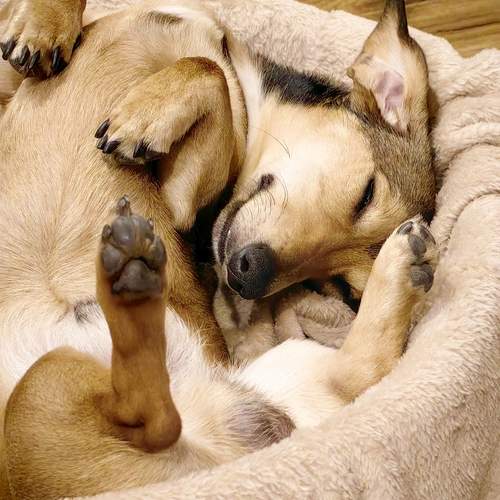Photo #12915859