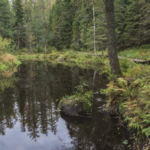 Photo #12916009