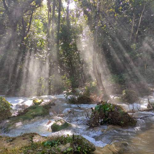 Photo #12916166