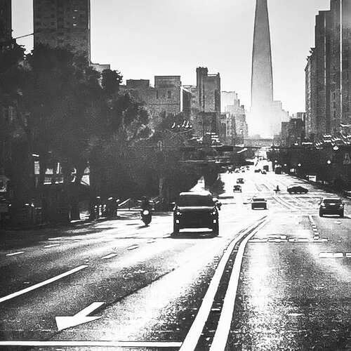 Photo #12916235