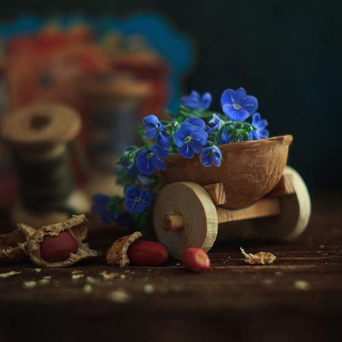 Вероника дубравная