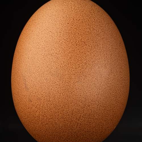 Photo #12916351