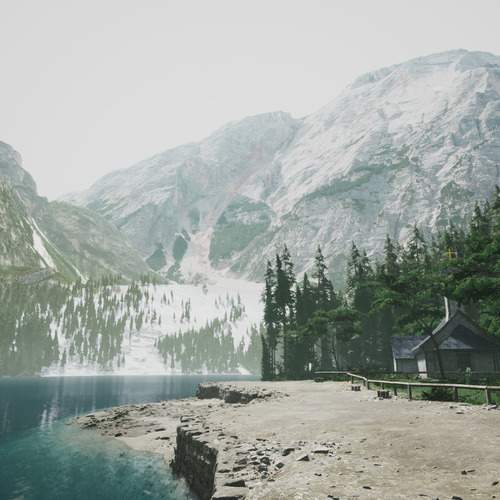 Photo #12916398