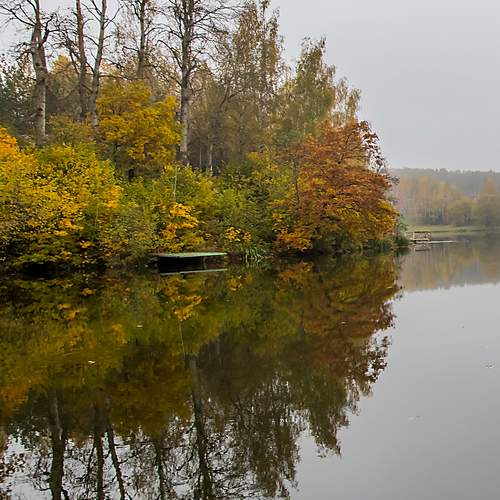 Photo #12916489
