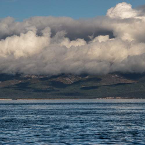 Photo #12916505