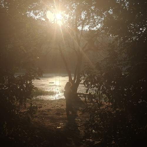 Photo #12916529
