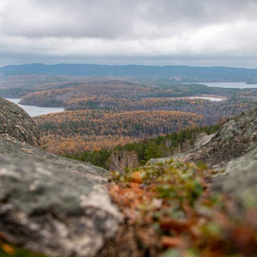 Photo #12916574