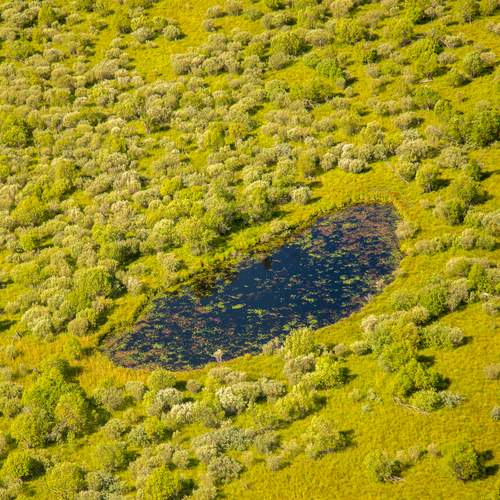 Photo #12916650