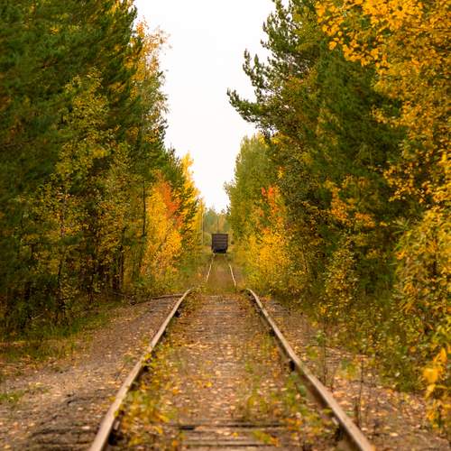 Photo #12916652