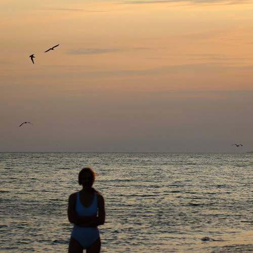 Photo #12917037