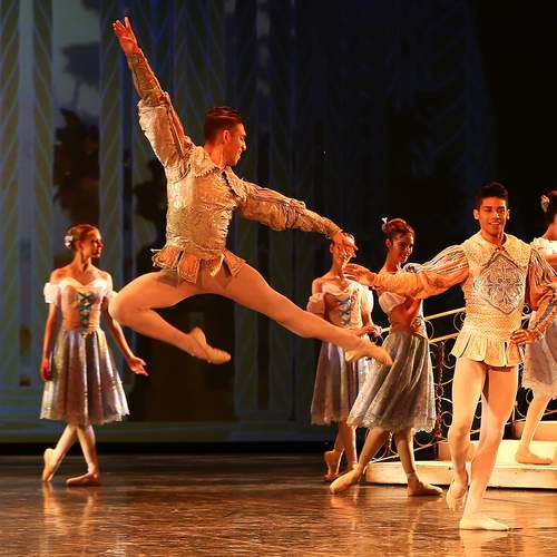 Photo #12917317