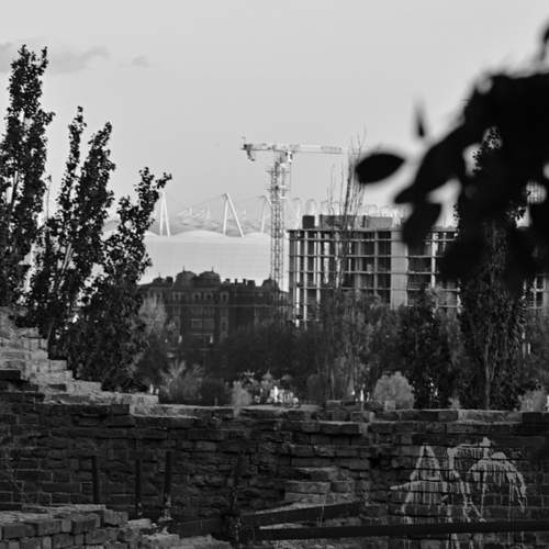 Photo #12917510