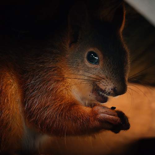 Фотография #12917588