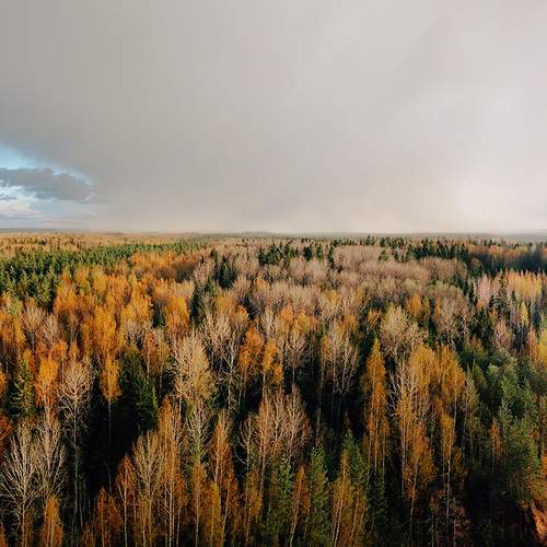 Фотография #12917610