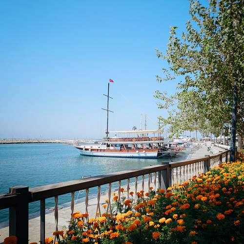 Фотография #12917626