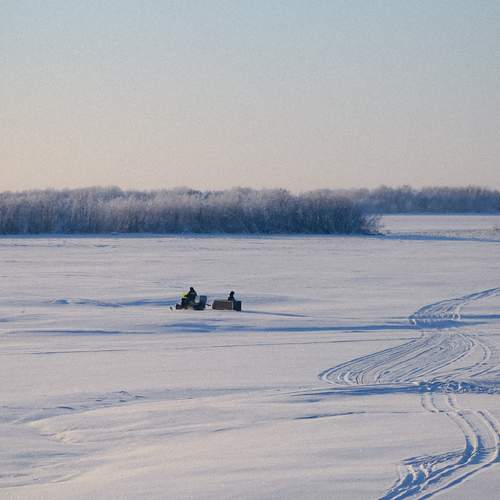Photo #12918041