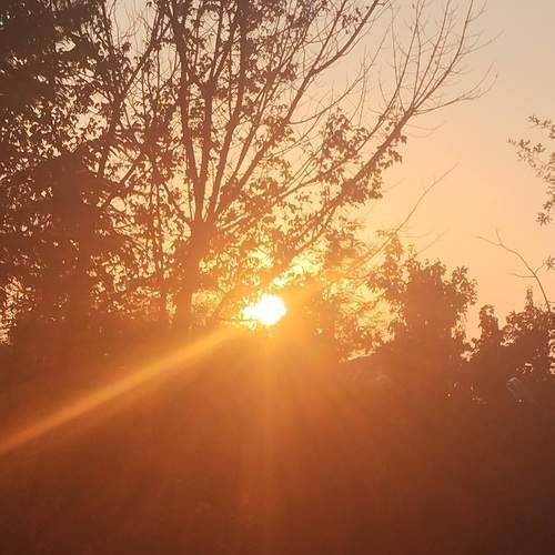 Photo #12918181