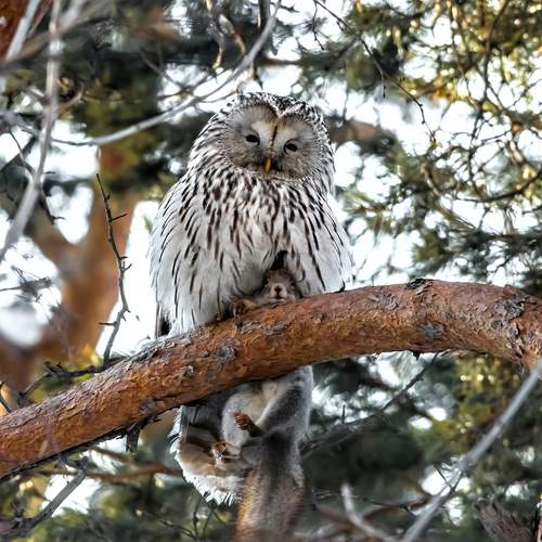 Photo #12918849